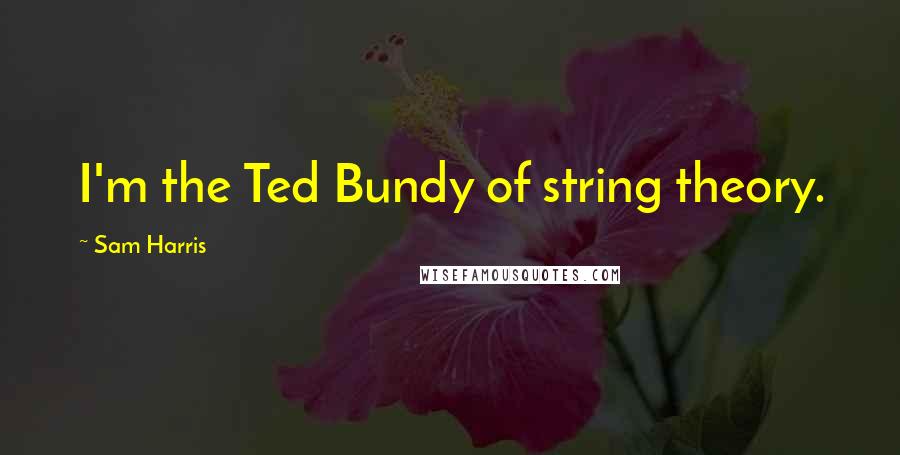 Sam Harris Quotes: I'm the Ted Bundy of string theory.