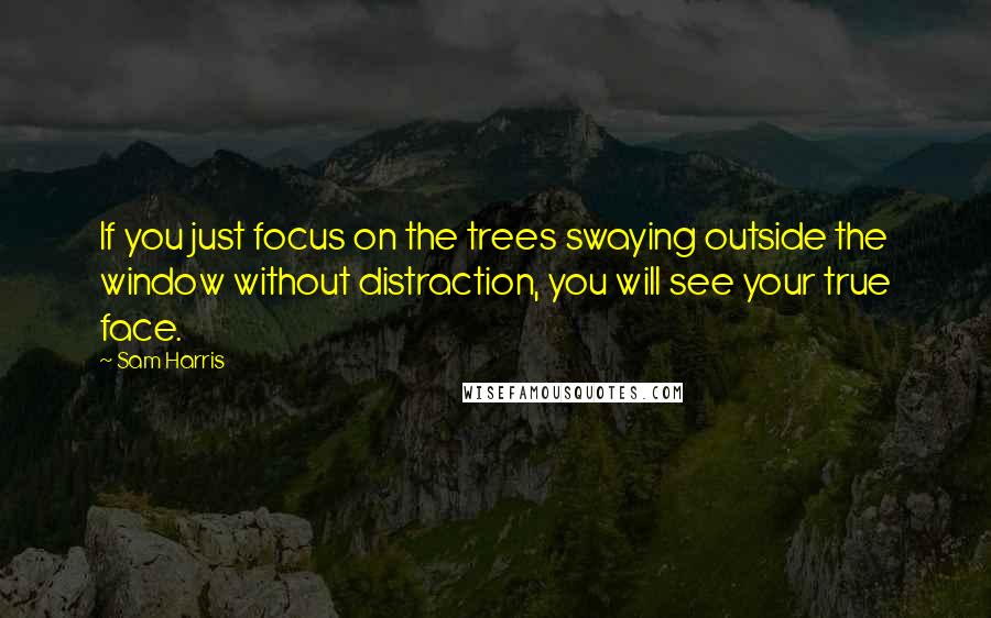 Sam Harris Quotes: If you just focus on the trees swaying outside the window without distraction, you will see your true face.