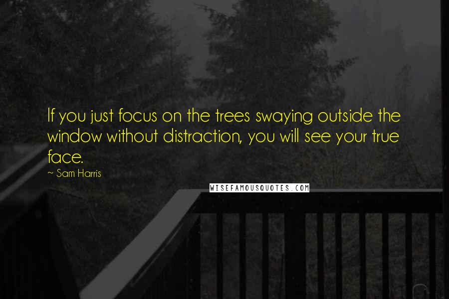 Sam Harris Quotes: If you just focus on the trees swaying outside the window without distraction, you will see your true face.