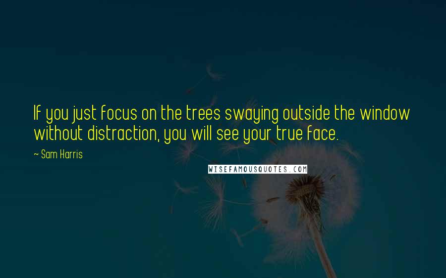 Sam Harris Quotes: If you just focus on the trees swaying outside the window without distraction, you will see your true face.