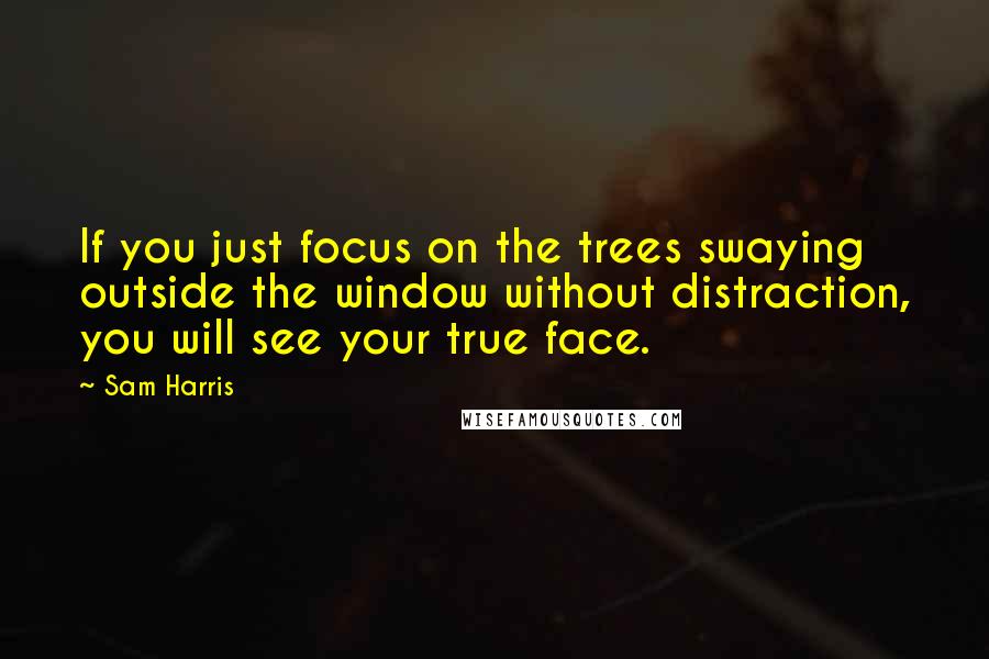 Sam Harris Quotes: If you just focus on the trees swaying outside the window without distraction, you will see your true face.