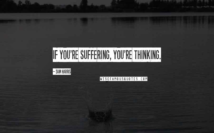 Sam Harris Quotes: If you're suffering, you're thinking.