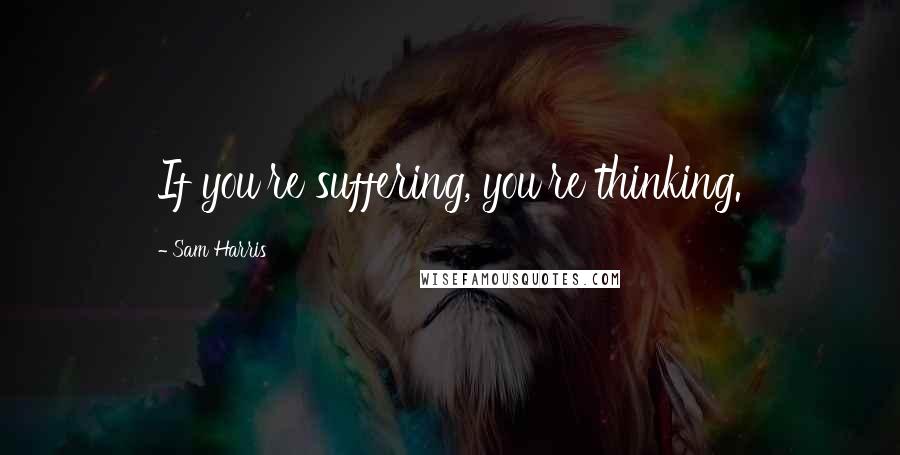 Sam Harris Quotes: If you're suffering, you're thinking.