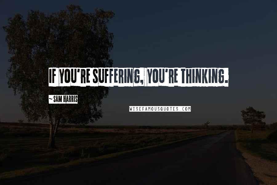 Sam Harris Quotes: If you're suffering, you're thinking.