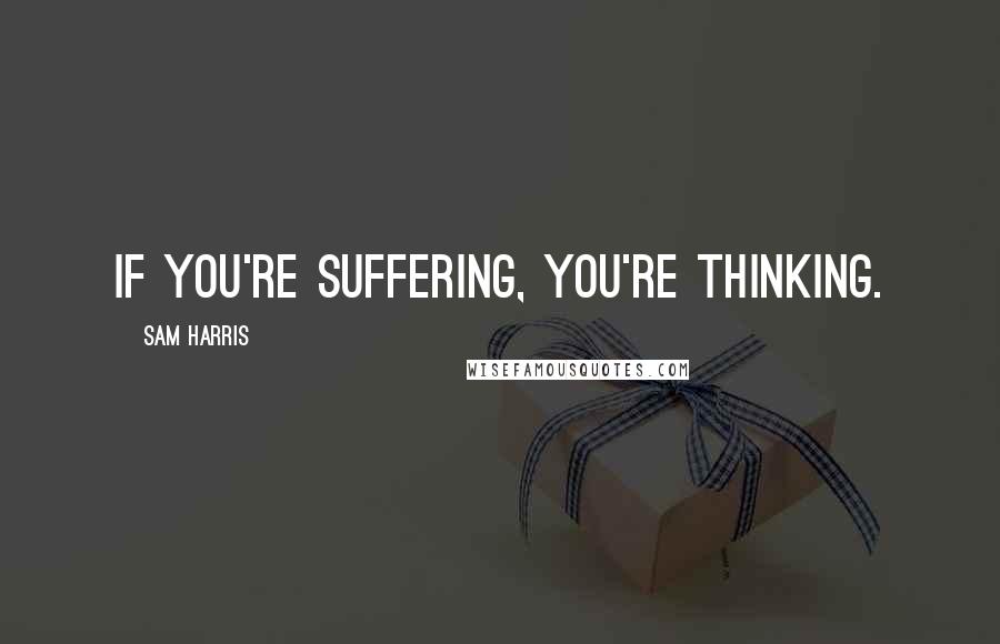 Sam Harris Quotes: If you're suffering, you're thinking.