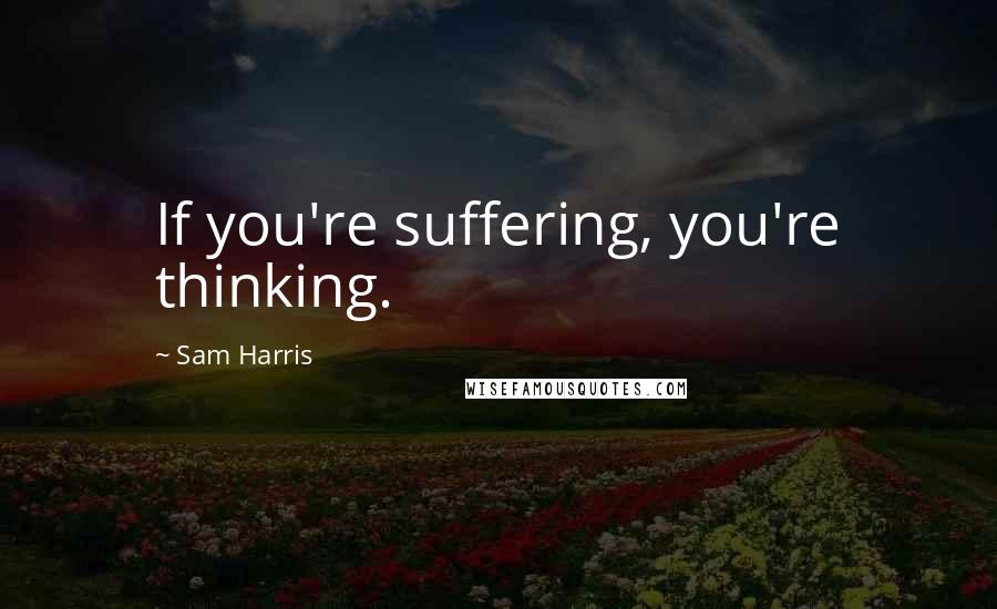 Sam Harris Quotes: If you're suffering, you're thinking.