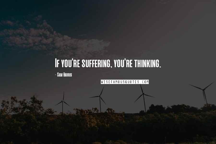 Sam Harris Quotes: If you're suffering, you're thinking.