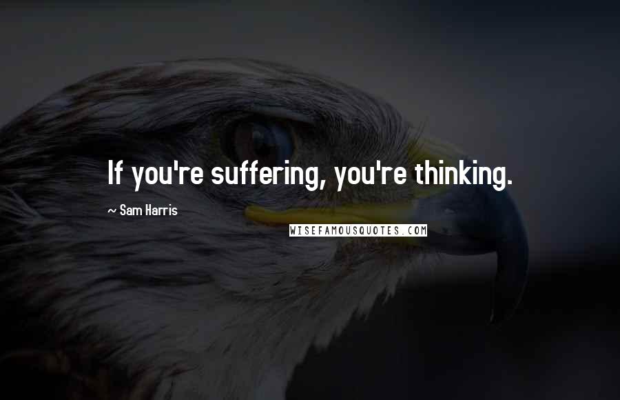 Sam Harris Quotes: If you're suffering, you're thinking.