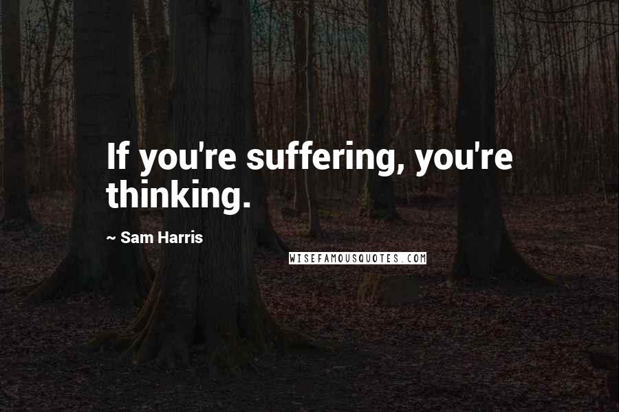Sam Harris Quotes: If you're suffering, you're thinking.