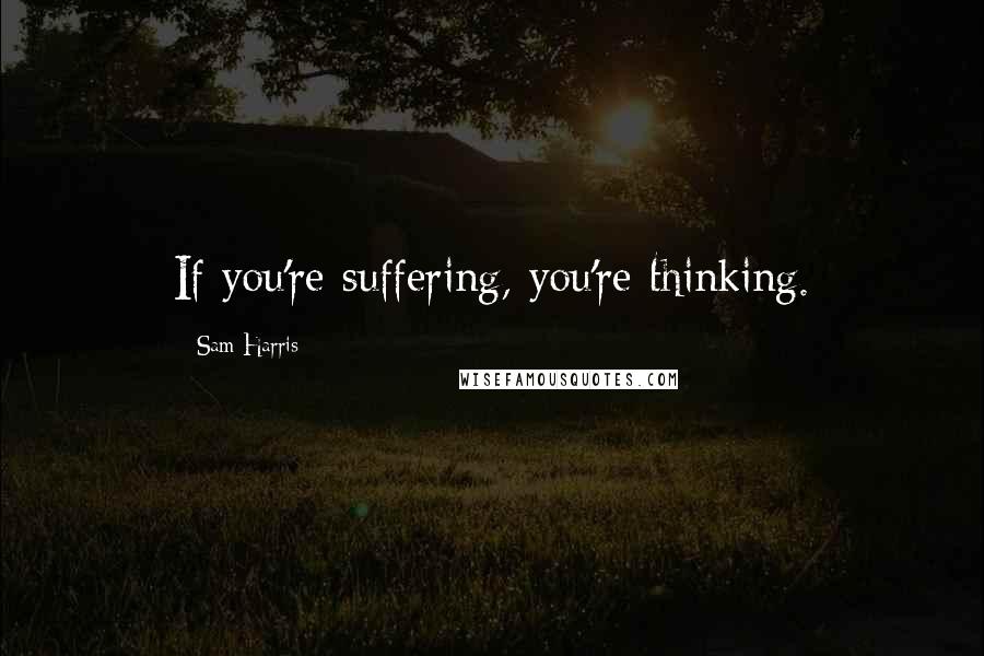 Sam Harris Quotes: If you're suffering, you're thinking.