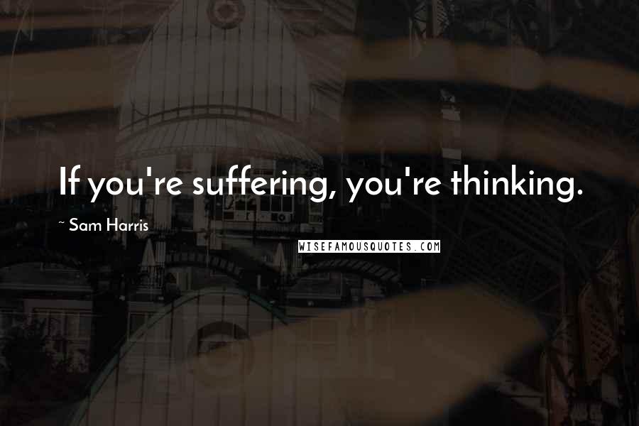 Sam Harris Quotes: If you're suffering, you're thinking.
