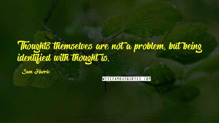 Sam Harris Quotes: Thoughts themselves are not a problem, but being identified with thought is.