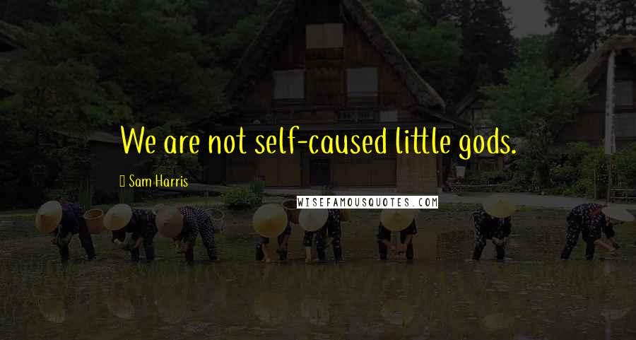 Sam Harris Quotes: We are not self-caused little gods.