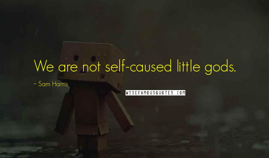 Sam Harris Quotes: We are not self-caused little gods.