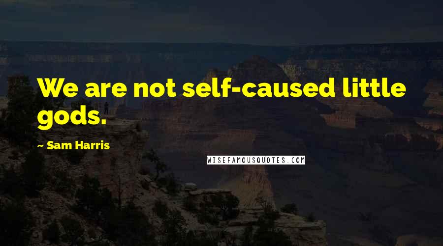 Sam Harris Quotes: We are not self-caused little gods.