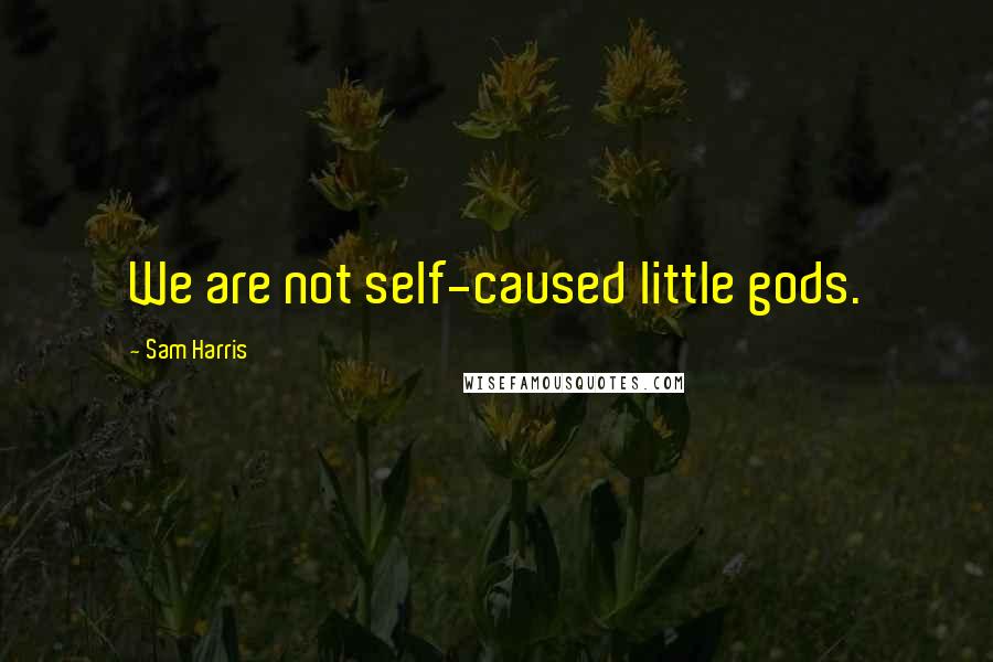 Sam Harris Quotes: We are not self-caused little gods.