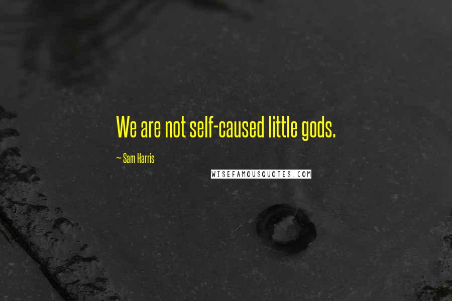 Sam Harris Quotes: We are not self-caused little gods.