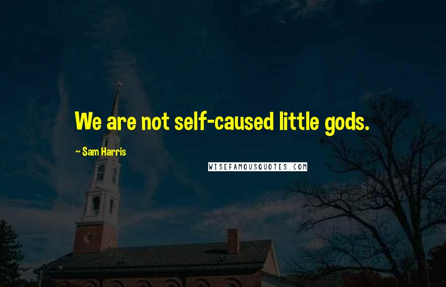 Sam Harris Quotes: We are not self-caused little gods.