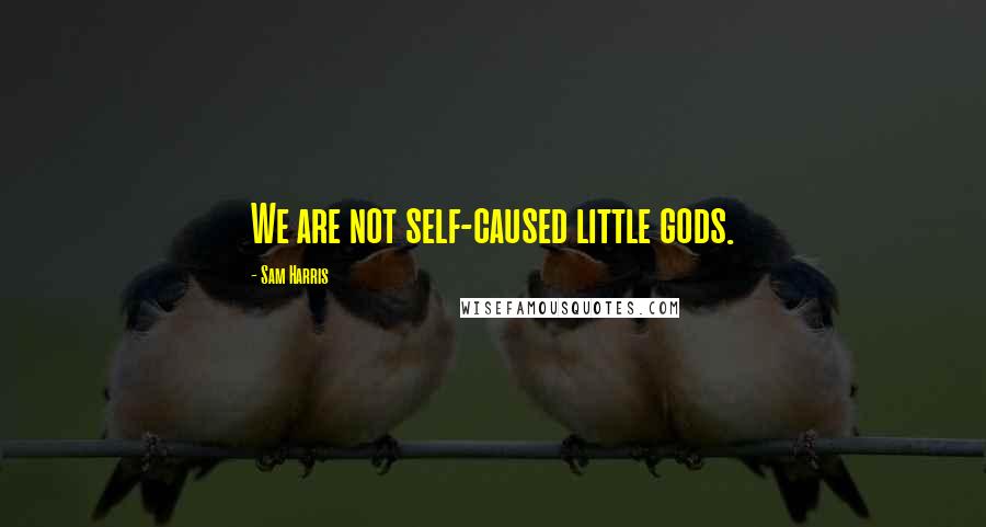 Sam Harris Quotes: We are not self-caused little gods.