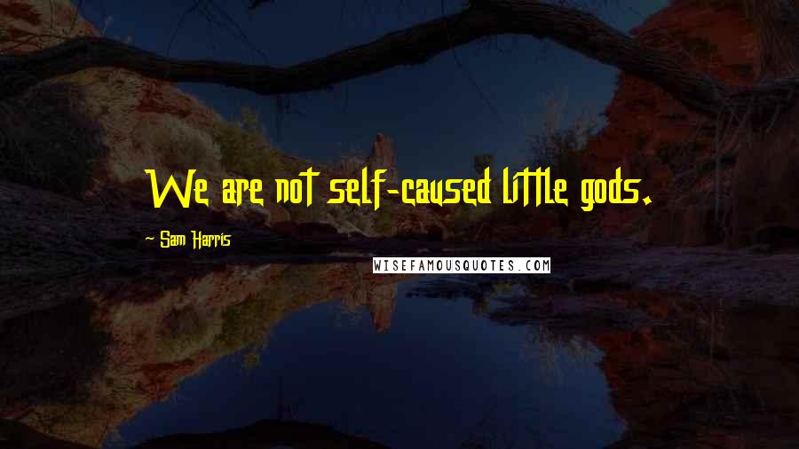 Sam Harris Quotes: We are not self-caused little gods.