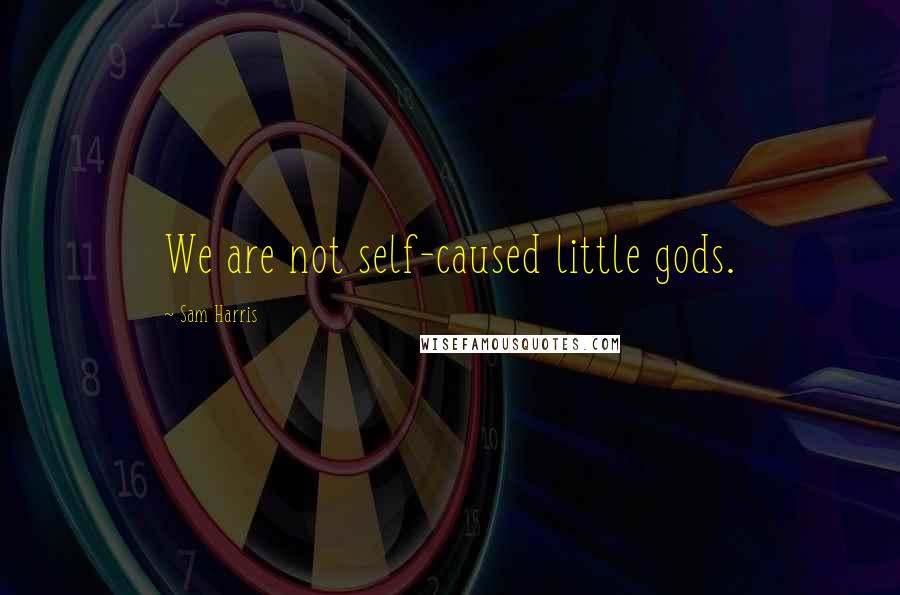 Sam Harris Quotes: We are not self-caused little gods.