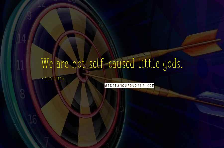 Sam Harris Quotes: We are not self-caused little gods.