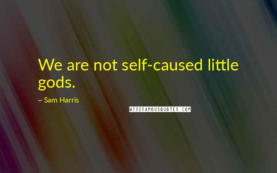 Sam Harris Quotes: We are not self-caused little gods.