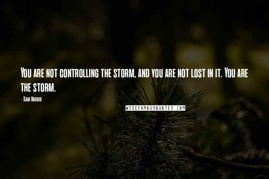 Sam Harris Quotes: You are not controlling the storm, and you are not lost in it. You are the storm.