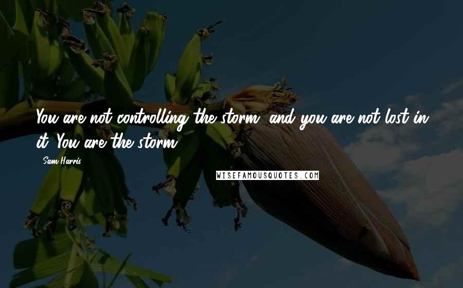 Sam Harris Quotes: You are not controlling the storm, and you are not lost in it. You are the storm.