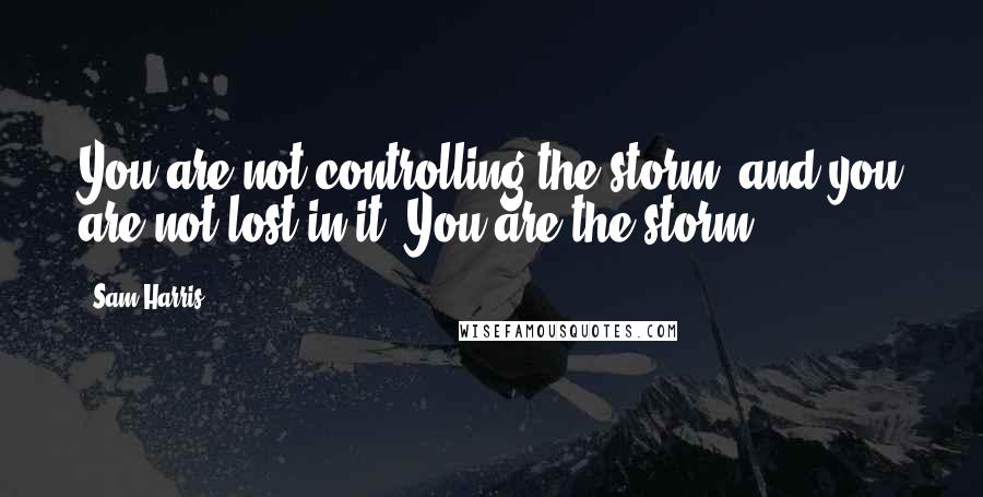 Sam Harris Quotes: You are not controlling the storm, and you are not lost in it. You are the storm.