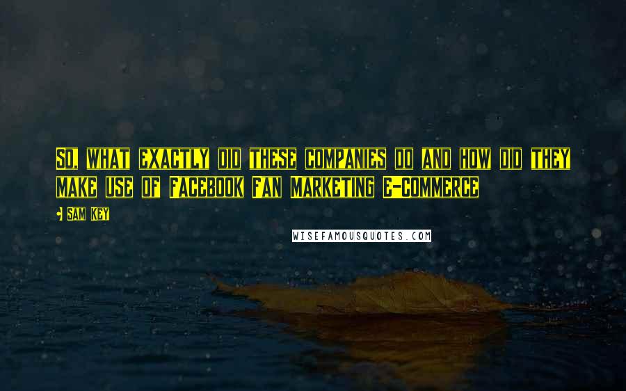 Sam Key Quotes: So, what exactly did these companies do and how did they make use of Facebook Fan Marketing E-Commerce