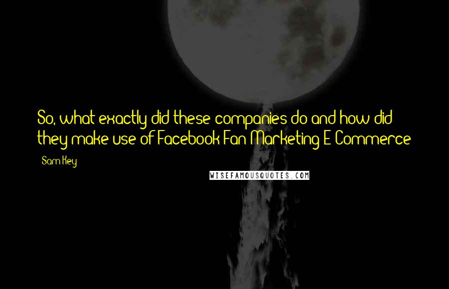 Sam Key Quotes: So, what exactly did these companies do and how did they make use of Facebook Fan Marketing E-Commerce