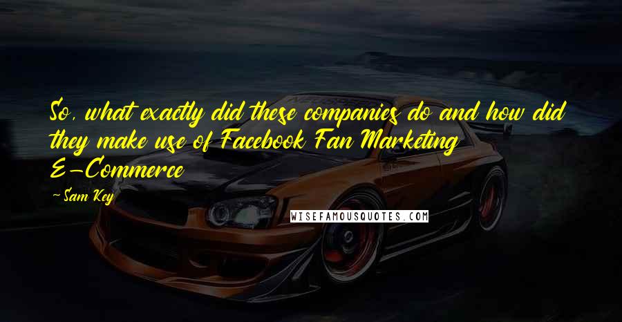 Sam Key Quotes: So, what exactly did these companies do and how did they make use of Facebook Fan Marketing E-Commerce