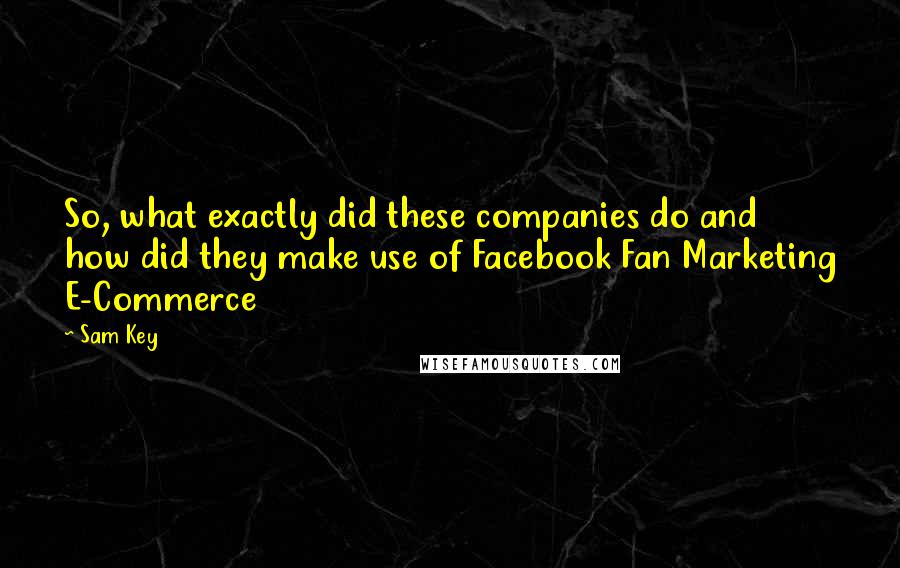 Sam Key Quotes: So, what exactly did these companies do and how did they make use of Facebook Fan Marketing E-Commerce