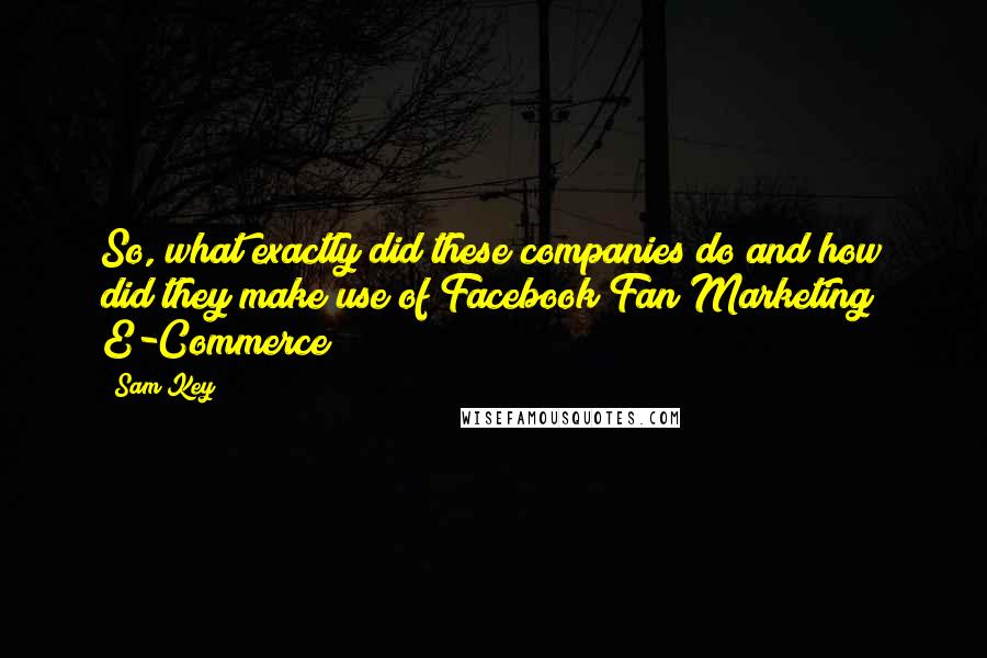 Sam Key Quotes: So, what exactly did these companies do and how did they make use of Facebook Fan Marketing E-Commerce