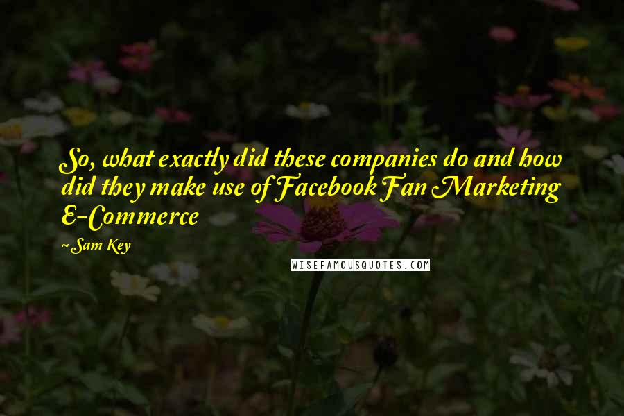 Sam Key Quotes: So, what exactly did these companies do and how did they make use of Facebook Fan Marketing E-Commerce