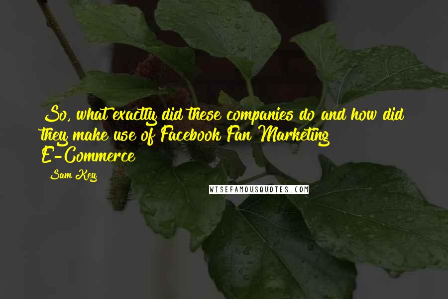 Sam Key Quotes: So, what exactly did these companies do and how did they make use of Facebook Fan Marketing E-Commerce