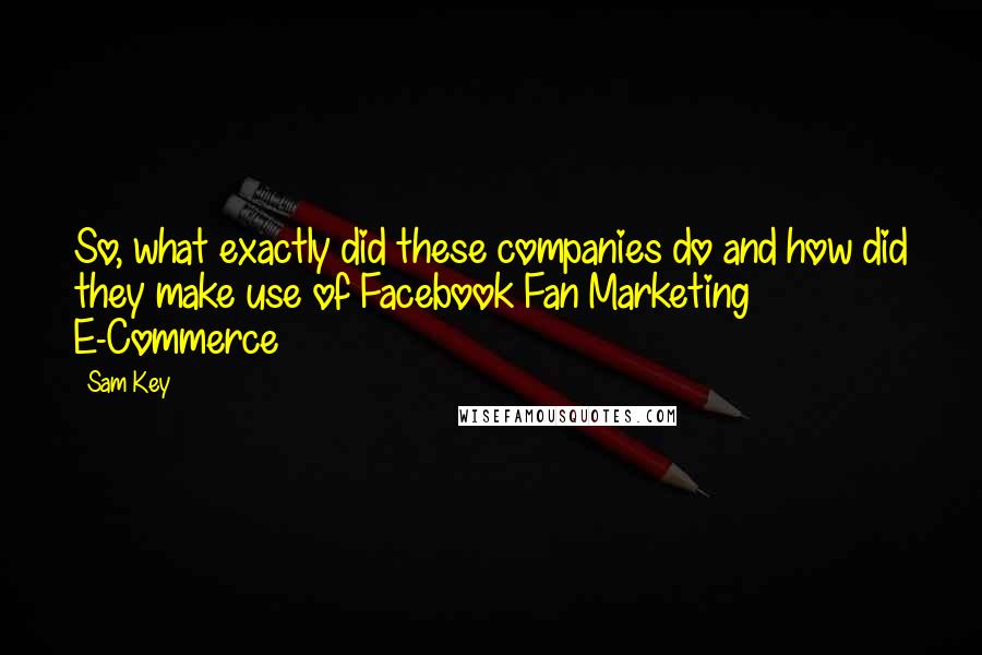 Sam Key Quotes: So, what exactly did these companies do and how did they make use of Facebook Fan Marketing E-Commerce