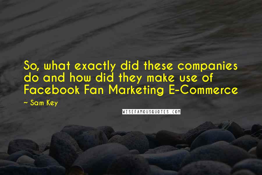 Sam Key Quotes: So, what exactly did these companies do and how did they make use of Facebook Fan Marketing E-Commerce