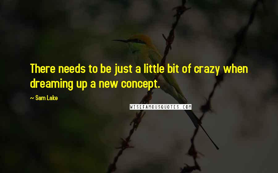 Sam Lake Quotes: There needs to be just a little bit of crazy when dreaming up a new concept.