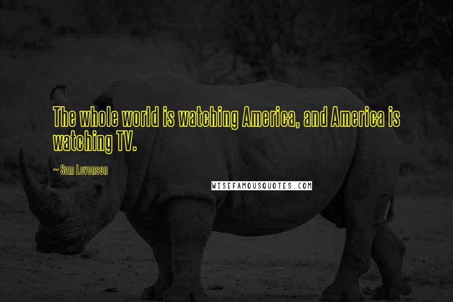 Sam Levenson Quotes: The whole world is watching America, and America is watching TV.