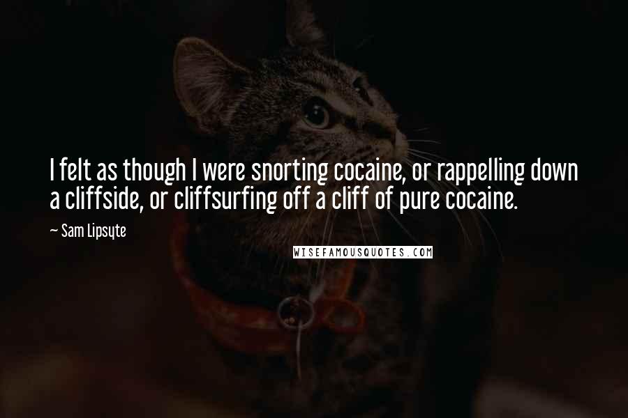 Sam Lipsyte Quotes: I felt as though I were snorting cocaine, or rappelling down a cliffside, or cliffsurfing off a cliff of pure cocaine.
