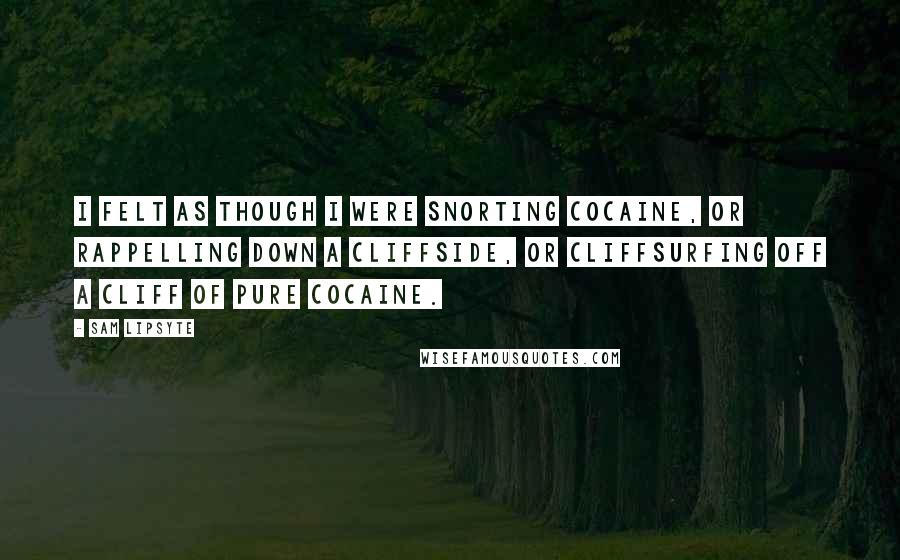 Sam Lipsyte Quotes: I felt as though I were snorting cocaine, or rappelling down a cliffside, or cliffsurfing off a cliff of pure cocaine.