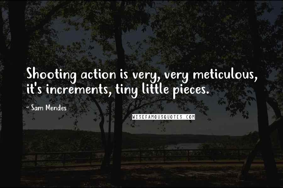 Sam Mendes Quotes: Shooting action is very, very meticulous, it's increments, tiny little pieces.