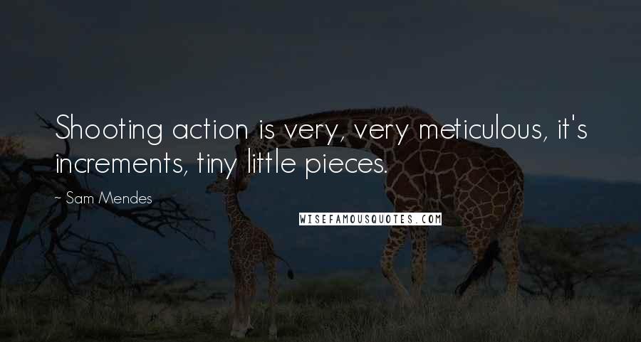 Sam Mendes Quotes: Shooting action is very, very meticulous, it's increments, tiny little pieces.