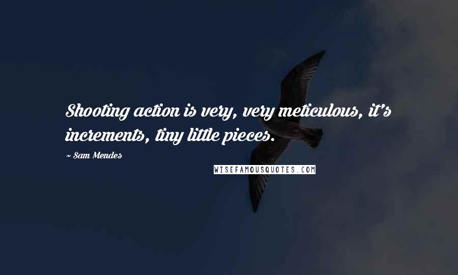 Sam Mendes Quotes: Shooting action is very, very meticulous, it's increments, tiny little pieces.