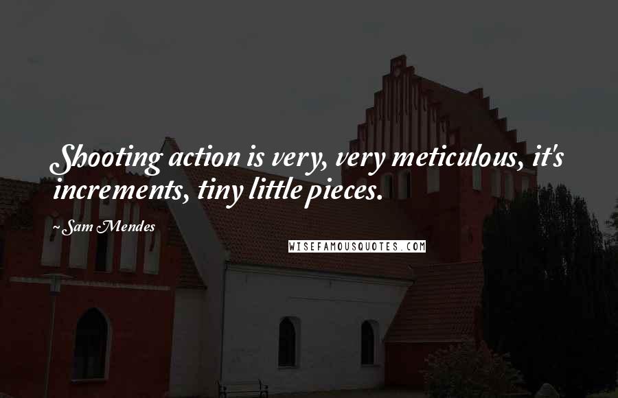Sam Mendes Quotes: Shooting action is very, very meticulous, it's increments, tiny little pieces.