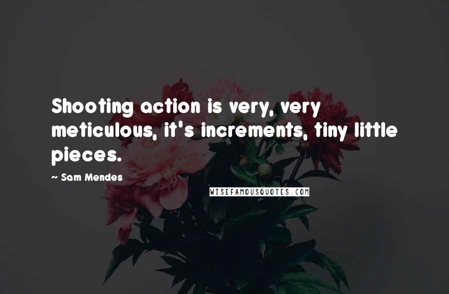 Sam Mendes Quotes: Shooting action is very, very meticulous, it's increments, tiny little pieces.
