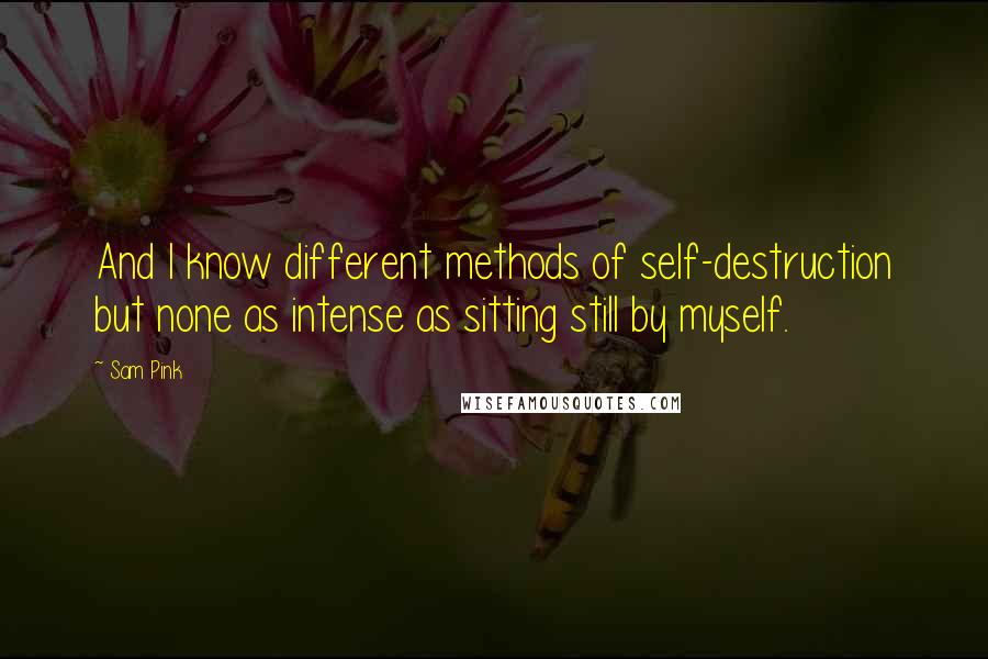 Sam Pink Quotes: And I know different methods of self-destruction but none as intense as sitting still by myself.