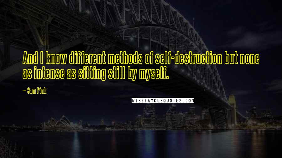 Sam Pink Quotes: And I know different methods of self-destruction but none as intense as sitting still by myself.